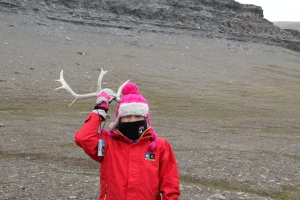 Reindeer shed their antlers annually.